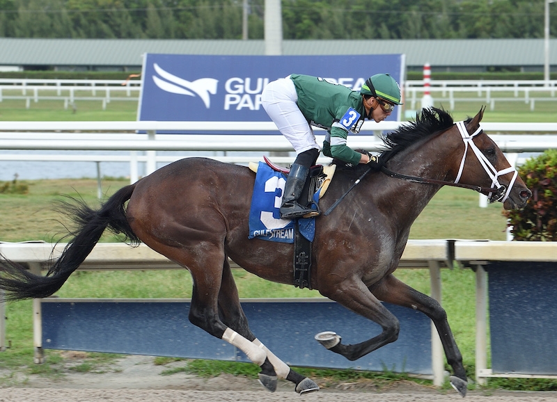 belmont stakes picks