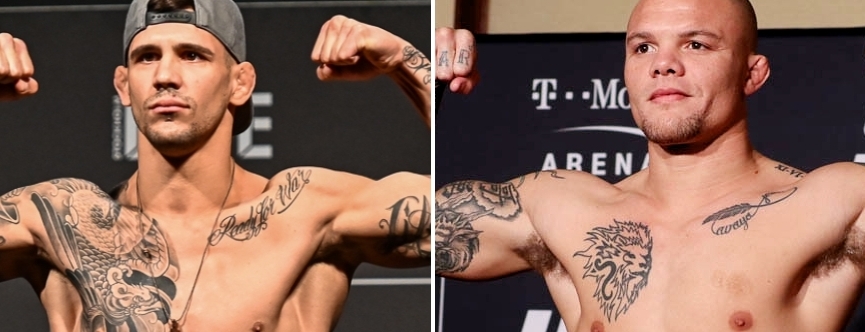 Anthony Smith vs. Aleksandar Rakic Picks