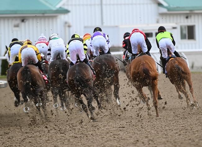 2020 Woodbine Mile Stakes Free Pick Handicapping Odds Prediction1