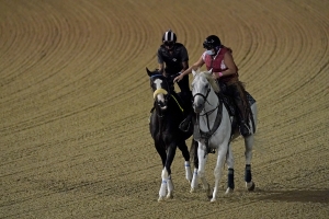 Kentucky Downs Picks - 9/15/20