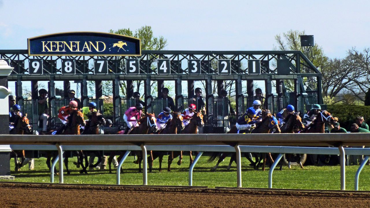 Horse Racing Picks for Oct. 8th Keeneland and Woodbine