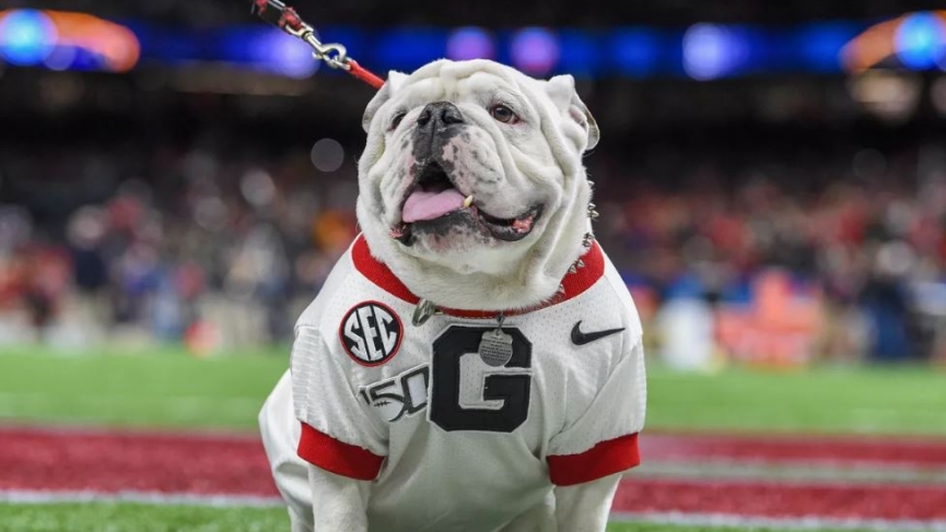 Georgia Bulldogs Odds